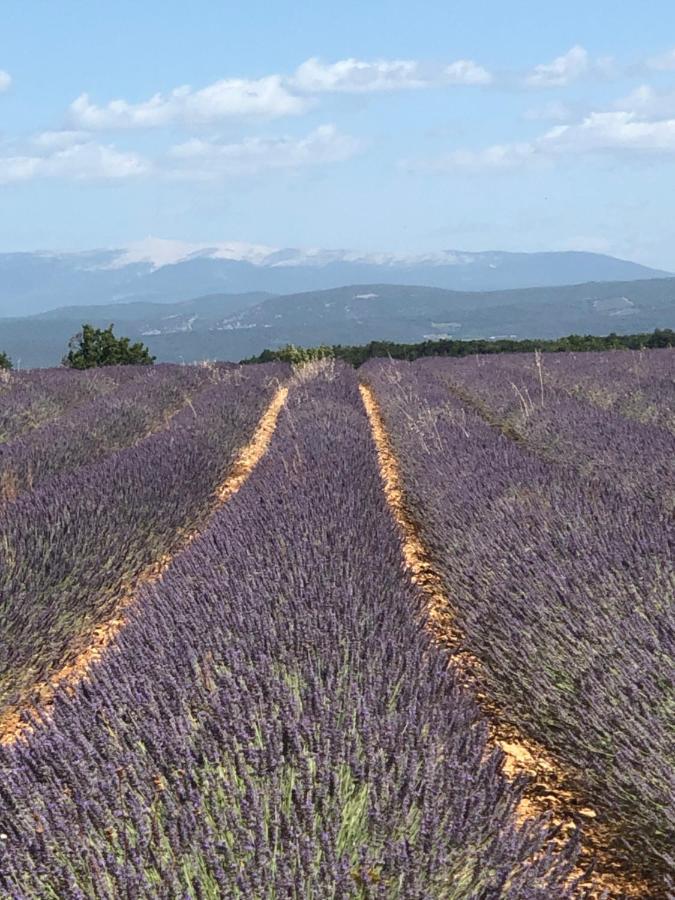 Provence Luberon Bonnieux Location Gite Chez Basile Dış mekan fotoğraf